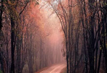 开云体育官网-平行宇宙引爆绿茵场！梅西魔幻舞步对决詹姆斯暴力美学