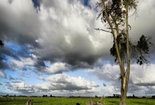 开云体育app-绿茵场上的失落与奥运舞台的暗流：德国遭遇AC米兰夺冠，奥运会局势紧张