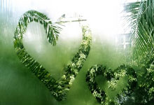 开云体育官方网站-DRX横扫SHR，BDD成为全场焦点淘汰赛2:0